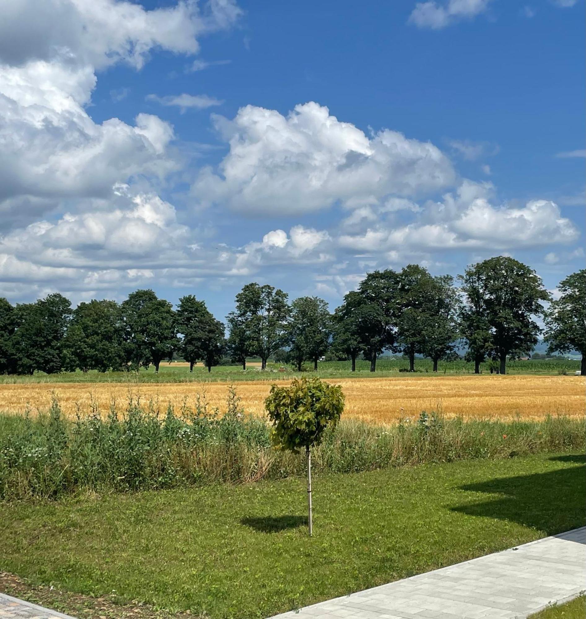 Apartment Albblick Trossingen